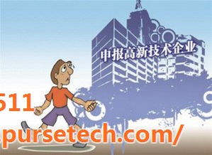 科技中介服務(wù) 企業(yè)創(chuàng)新與發(fā)展的智慧橋梁