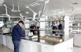 肥西縣高新技術(shù)企業(yè)認(rèn)定實(shí)現(xiàn)新突破，社會(huì)經(jīng)濟(jì)咨詢服務(wù)賦能產(chǎn)業(yè)升級(jí)